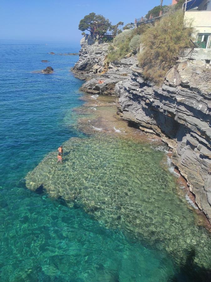 B&B La Taverna Di Mulinetti Recco Eksteriør billede